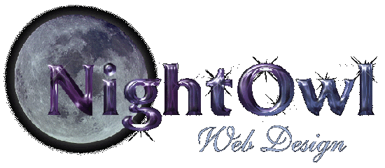 NightOwl Web Design